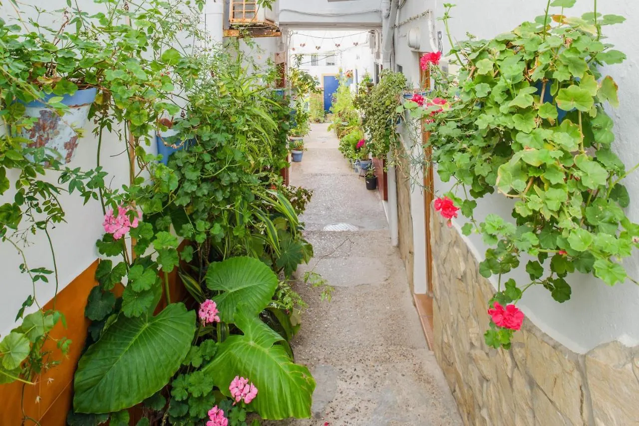 Casa Loli Διαμέρισμα Conil De La Frontera